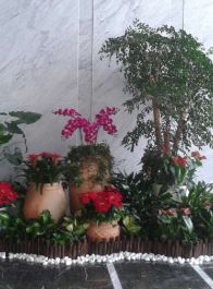 商务花卉摆放6